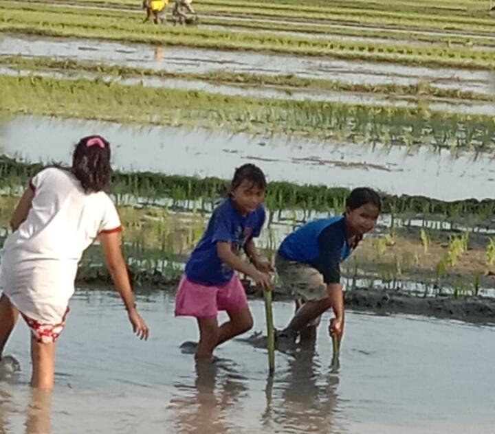 Merangsang Daya Kreativitas Anak dengan Bermain dan Belajar Dari Alam