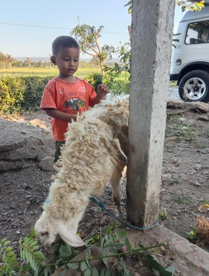 Merangsang Daya Kreativitas Anak dengan Bermain dan Belajar Dari Alam