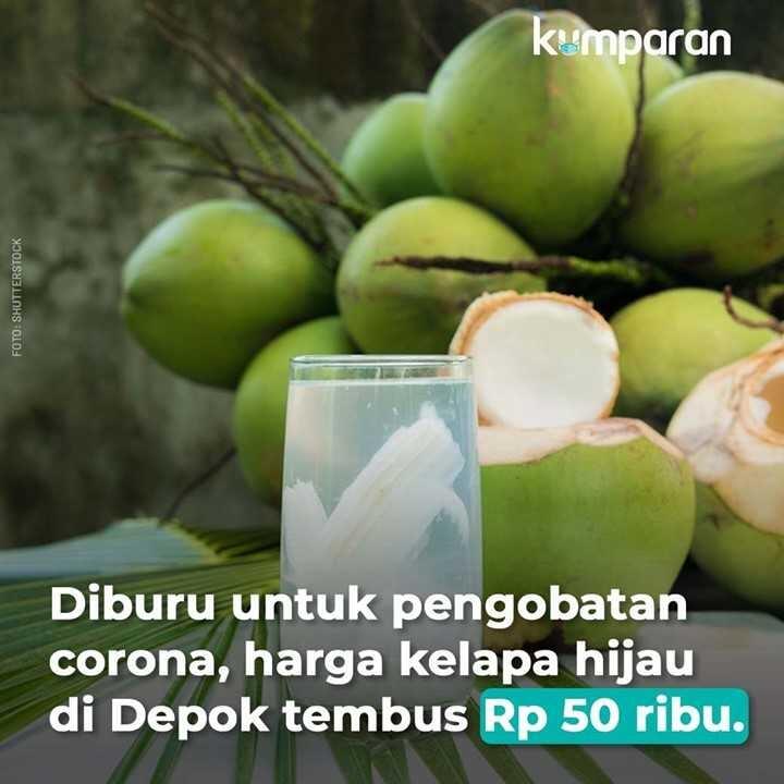 Dianggap Bisa Terapi Covid-19, Kelapa Muda di Bojonegoro Langka dan Harganya Mahal