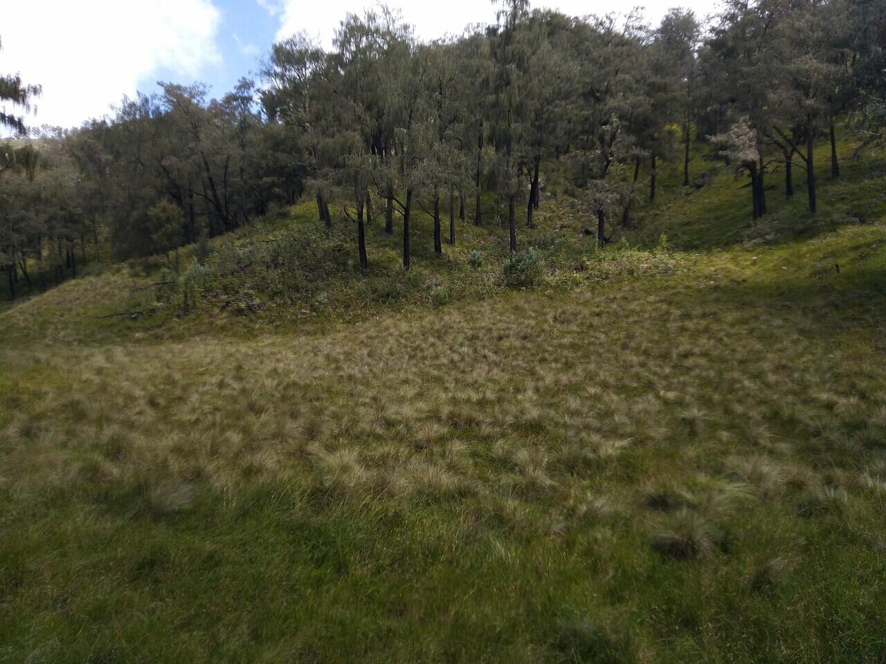 LAWU via DESA NGILIRAN PANEKAN (MAGETAN)