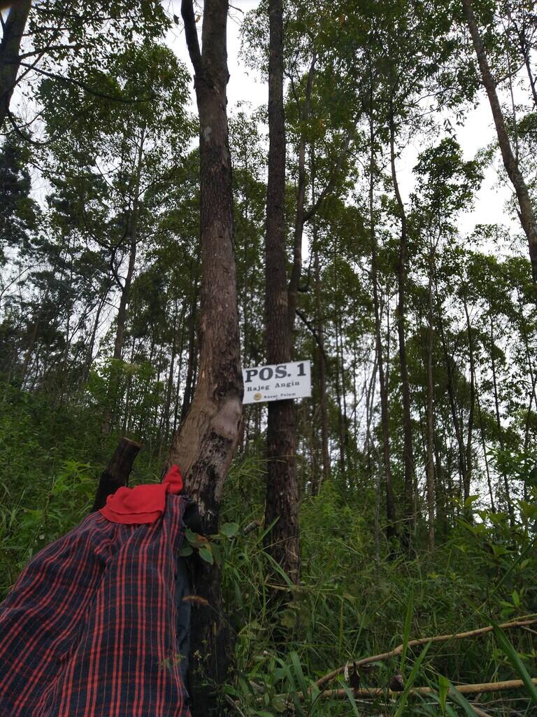 LAWU via DESA NGILIRAN PANEKAN (MAGETAN)
