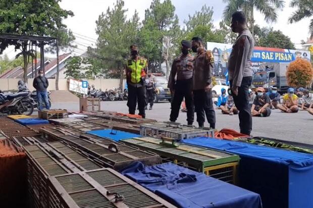 Langgar PPKM Darurat, Kerumunan Adu Burung Merpati di Tasikmalaya Dibubarkan