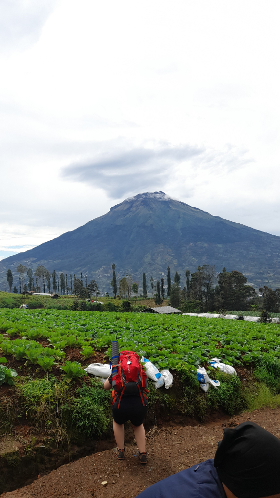 Pendakian Gunung Sindoro Via Alang Alang Sewu Dan Kenangan Indahnya