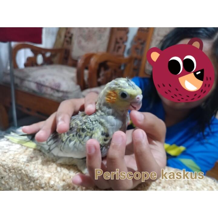 Meningkatkan Kreatifitas Anak Dengan Kebebasan Memilih Apa Yang Mereka Sukai