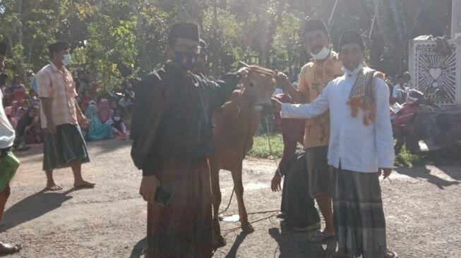 Ritual Tangkal Covid-19, Warga Sumenep Sembelih Sapi Seperti Zaman Nabi Isa