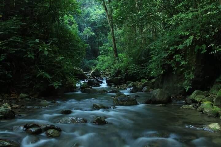 Tersesat di Rimba Sumatera