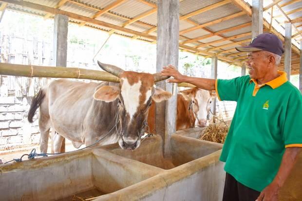 Qurban Saat PPKM Darurat, Semua Bisa Dilakukan dari Rumah Lewat Laznas BSMU