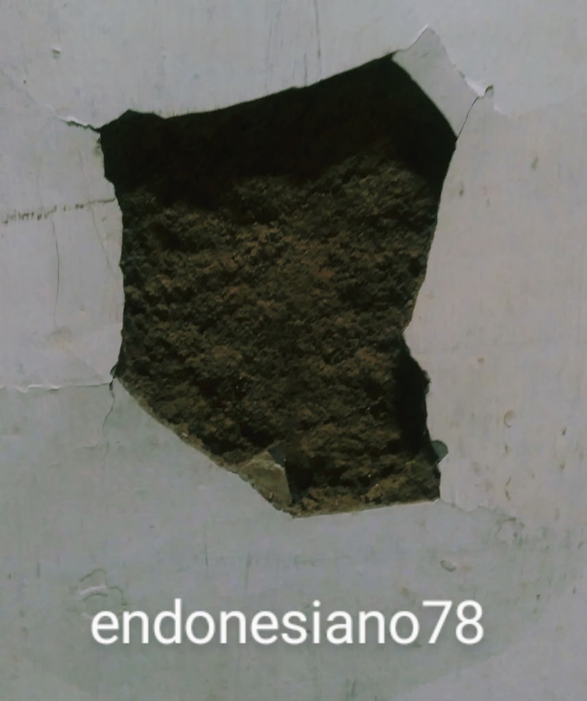 Didikan Ane Agar Kreativitas Anak Selalu Terasah