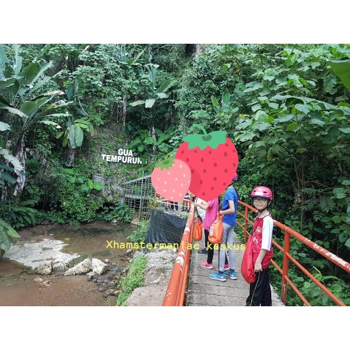 Tips Meningkatkan Kreatifitas Dan Mental Anak Melalui Petualangan Alam