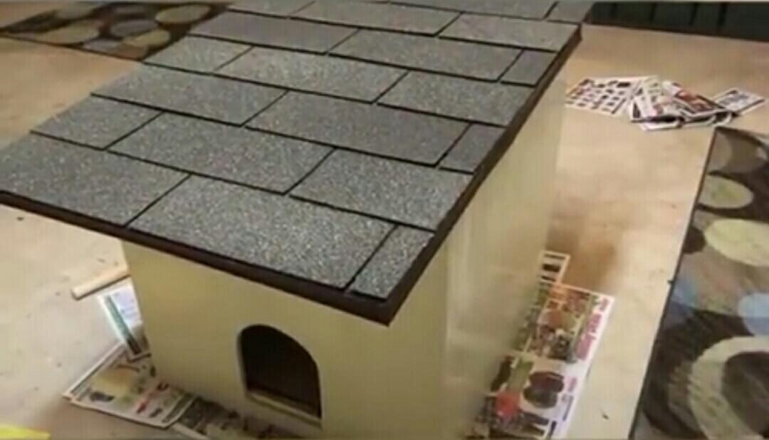 Lihat Kucing Yang Dibuang Ini Untuk Belajar Mempercayai Lagi