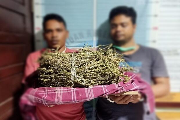 Bawa 2 Kg Ganja Kering Siap Edar, 2 Orang Warga Pidie Jaya Diringkus Polisi