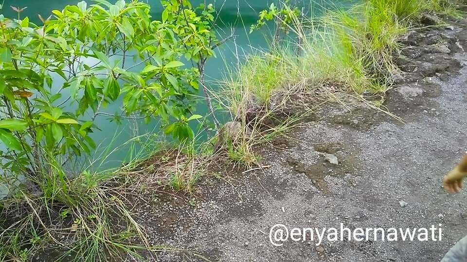 Legenda Danau Tolire di Ternate, Mitos dan Aroma Mistis yang Menyelubunginya