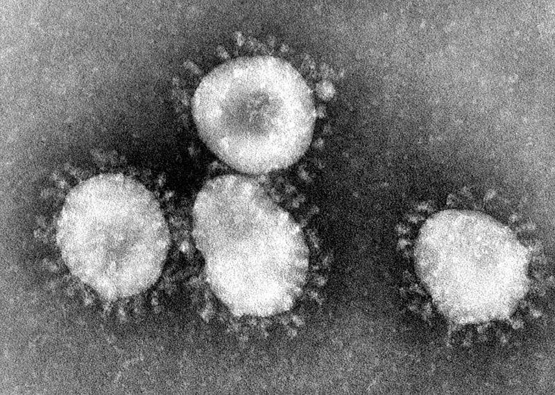 Sejarah Virus Corona