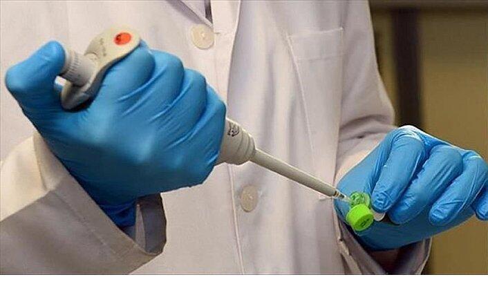 IDI: Sebanyak 545 Dokter Meninggal Dunia Sepanjang Pandemi