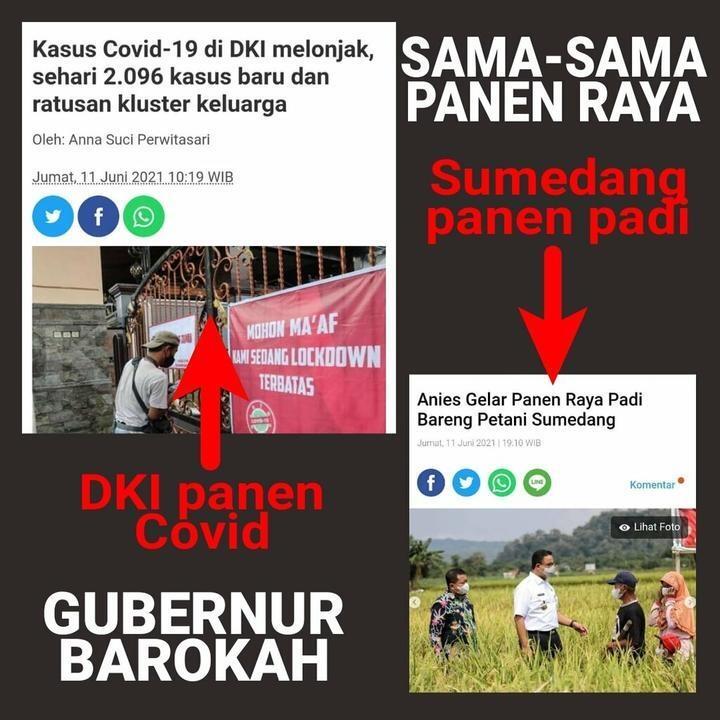 Sindir Kadrun, Netizen: Jokowi Blusukan Disebut Rasa Wali Kota, Gubernur ke Kuburan 