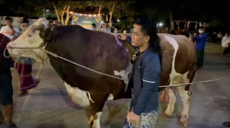 Idul Adha 1442 H, Ponpes Gus Miftah Sembelih 19 Sapi & 50 Kambing