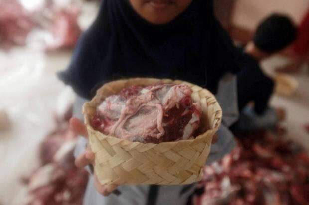 Pamdal DPR hingga Driver Ojol Bakal Dapat Daging Kurban dari Wakil Rakyat