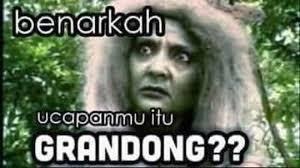 Sapi Grandong!! Sapi Apaan Tuh?