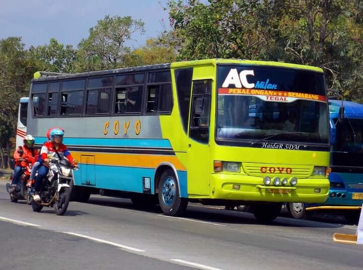 Sejarah PO Coyo - Sempat Berjaya Selama 3 Dekade di Jalur Semarang - Tegal - Cirebon