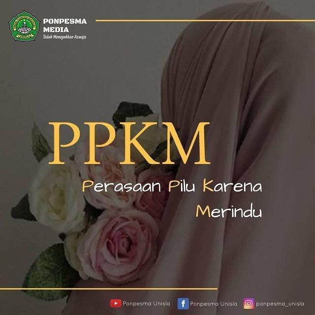 Draf Revisi Perda Corona DKI: Satpol PP Bisa Jadi Penyidik Pelanggaran COVID
