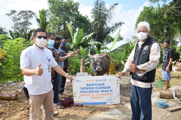Idul Adha 2021, Pupuk Kaltim Distribusikan Daging Kurban ke 6.000 Mustahik