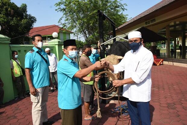 Idul Adha 1442 H, Makopassus Salurkan 115 Hewan Kurban untuk Masyarakat