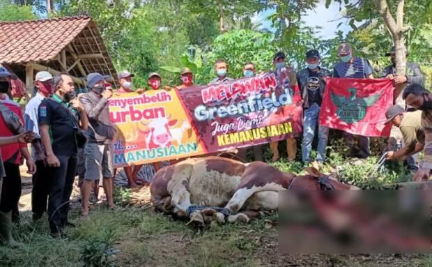 Sidang Gugatan Class Action, Warga Blitar Sembelih Sapi Simbol Ditutupnya Greenfields