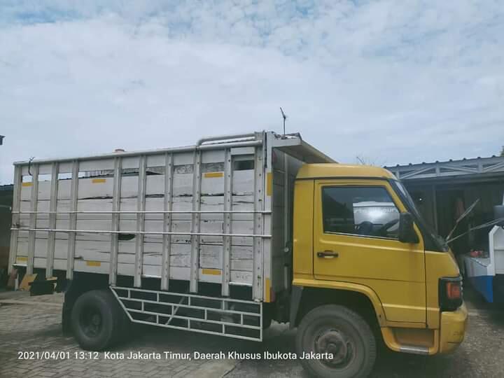 Mercedes Benz MB700 dan MB800 - Dibuat Untuk Menjegal Dominasi Mitsubishi Colt Diesel