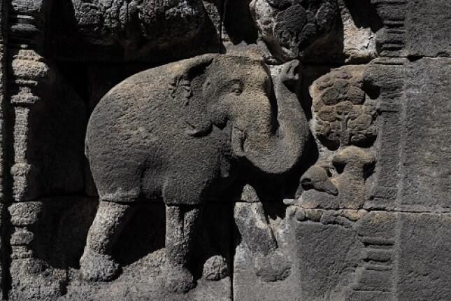 Se-Indonesia Nyesel Baru Tahu! Ternyata Begini Awal Kisah Relief Gajah di Borobudur