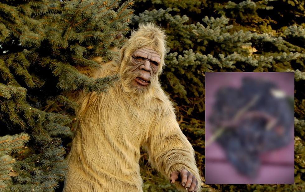 Serem ! Lagi Ngerekam Video, Eh Muncul 'SOSOK' Bigfoot Raksasa Berjalan Di Sungai !