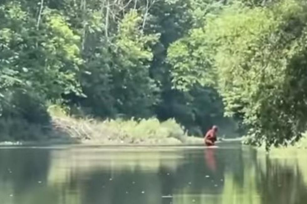 Serem ! Lagi Ngerekam Video, Eh Muncul 'SOSOK' Bigfoot Raksasa Berjalan Di Sungai !