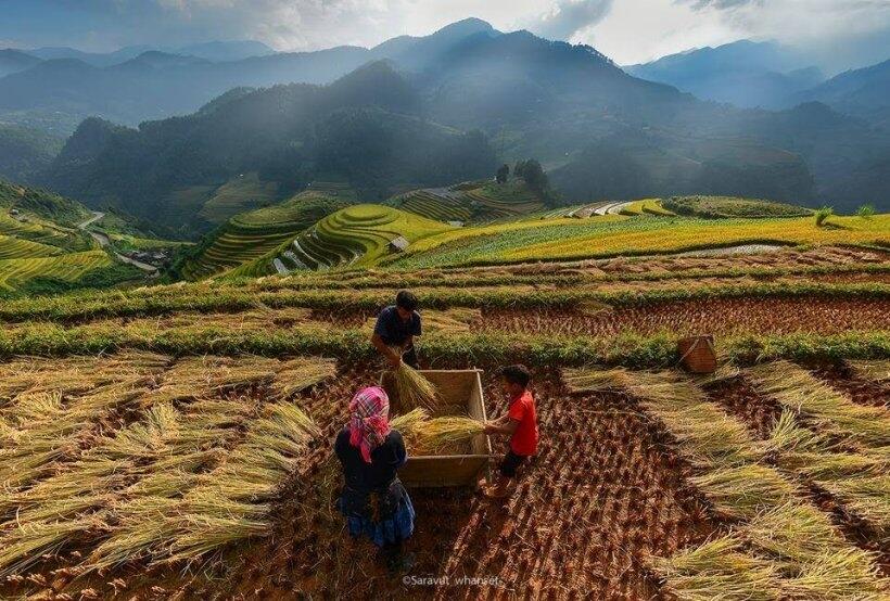 Merindukan Desa Tercinta