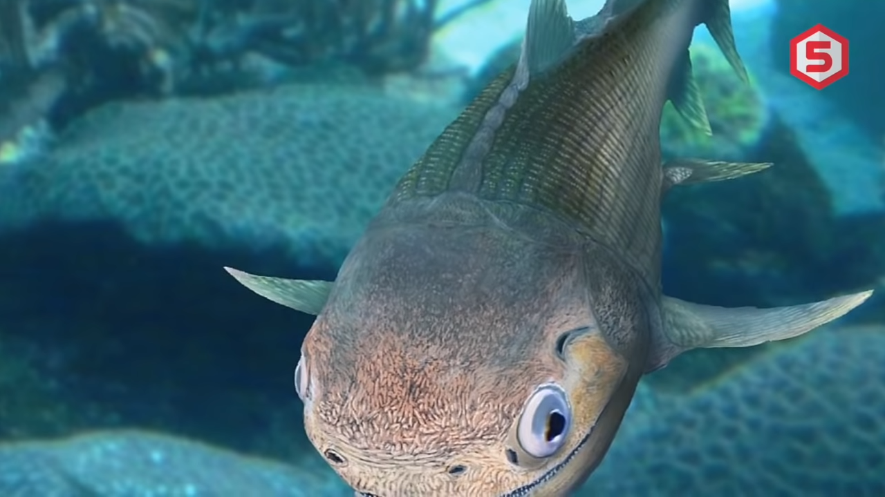 Manusia Berevolusi Dari Ikan? Ilmuwan Temukan Fosil Ikan Mirip Manusia