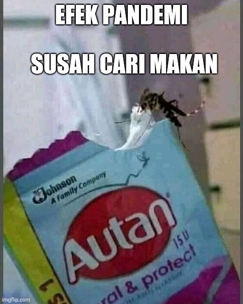 kaskus-image
