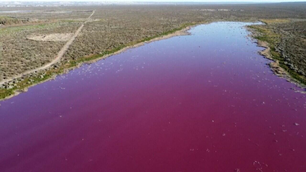 Laguna di Argentina Berubah Warna Menjadi Pink!