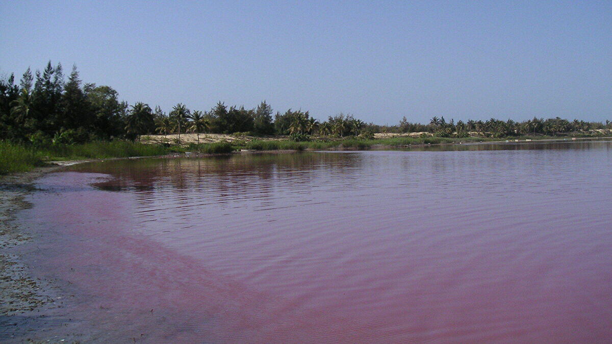 Laguna di Argentina Berubah Warna Menjadi Pink!