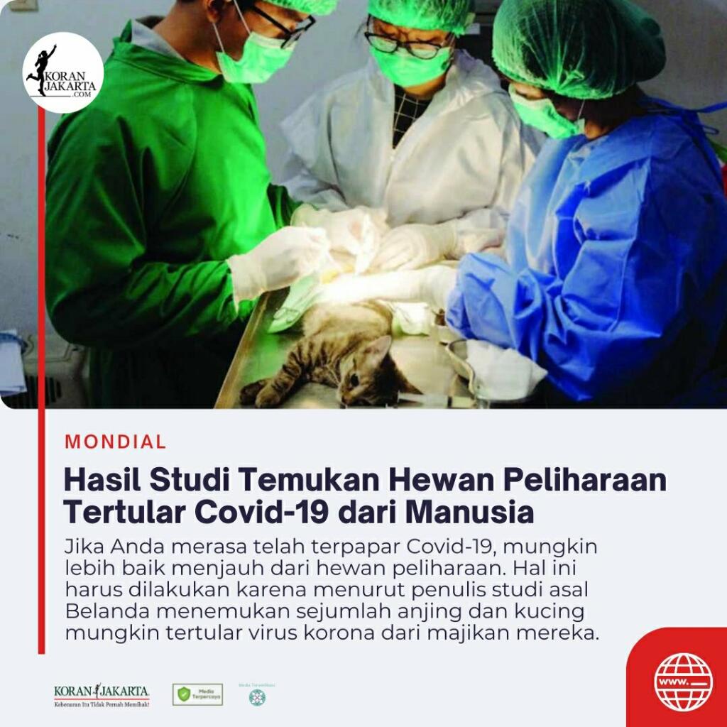 2 Harimau Sumatera di Ragunan yang Terinfeksi COVID-19 Kini Dinyatakan Sehat