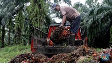 Gak Kaleng-Kaleng, Seabrek Produk RI Bikin Resah ASEAN-Eropa!