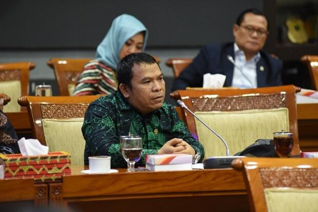 DPR Nilai Biaya Pengecatan Ulang Pesawat Kepresidenan Mending Dibelikan Beras