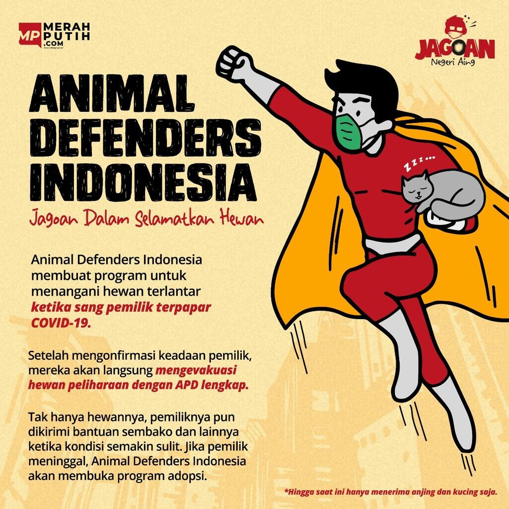 Animal Defenders Indonesia Turun Selamatkan Hewan Peliharaan Saat Pemiliknya COVID