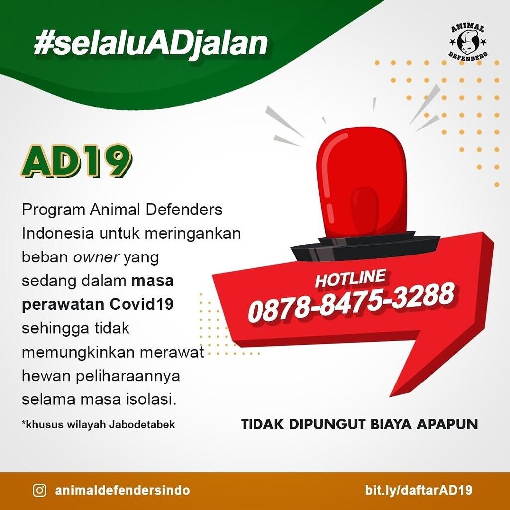 Animal Defenders Indonesia Turun Selamatkan Hewan Peliharaan Saat Pemiliknya COVID