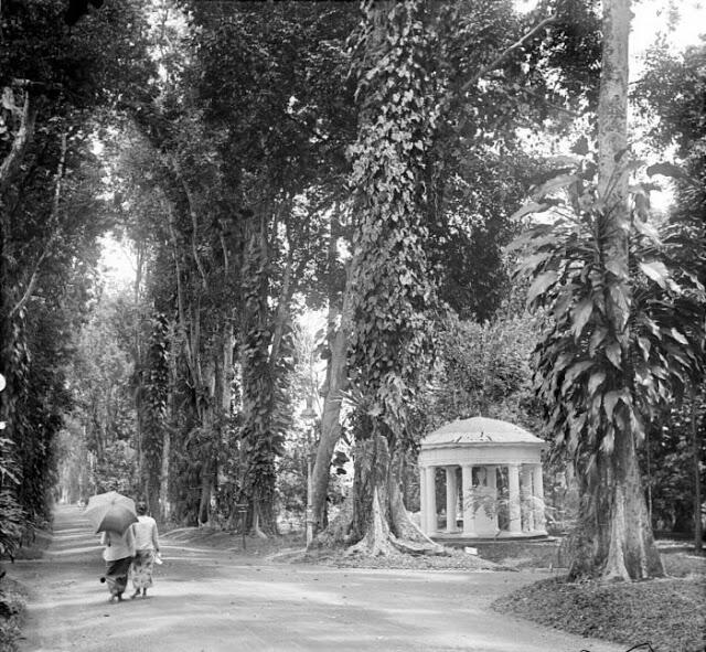 Kebun Raya Bogor, Kebun Raya Tertua di Dunia?