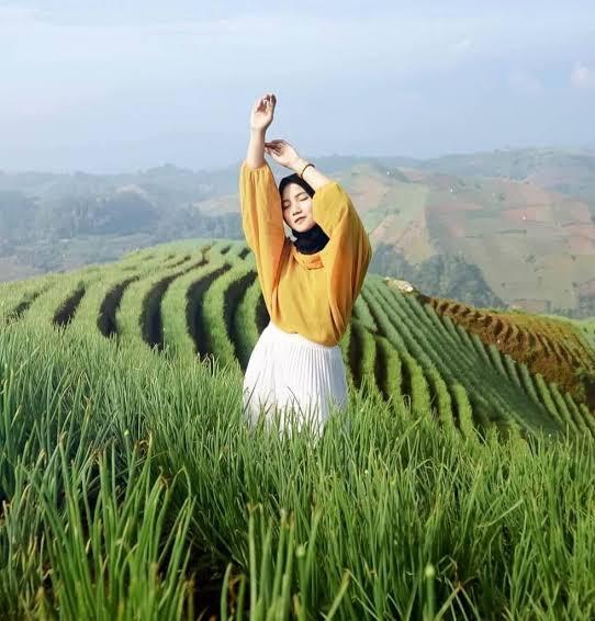 Terasering Panyaweuyan Majalengka, Tempat yang Cocok untuk Me-Refresh Otak