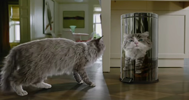 Nine Lives, Recommended Film untuk Pencinta Kucing