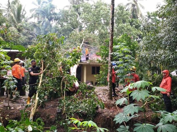Dihantam Angin Kencang Pohon 15 Meter Tumbang, Timpa Pendopo Kampus UIN dan Rumah
