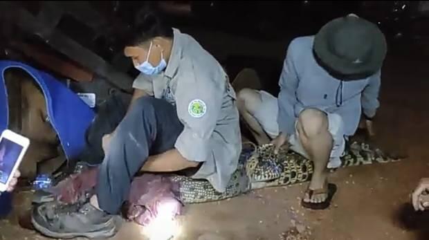 Bangka Gempar, Buaya Ganas Muncul dan Masuk Pemukiman Warga