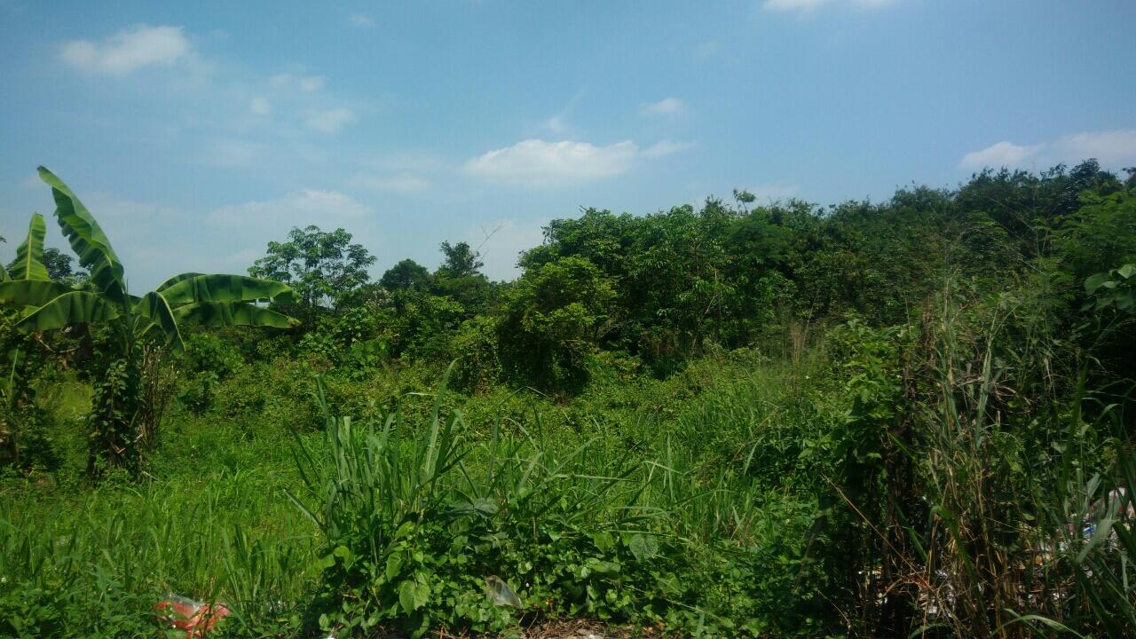 kaskus-image