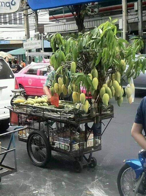 Promosi Usaha Bisa Dimulai dari Desain Gerobak yang Absurd sehingga Cepat Viral