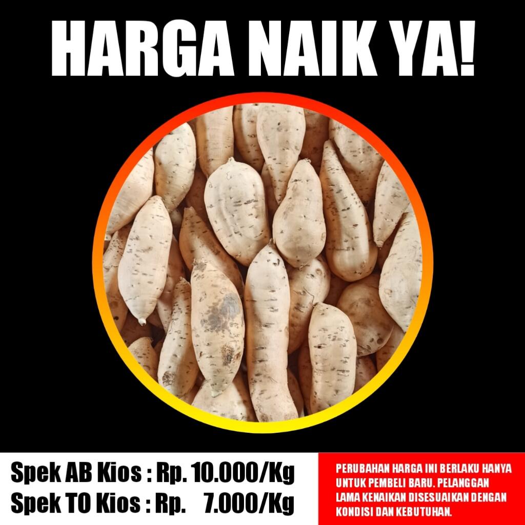 Ubi Cilembu Madu Naik Harga