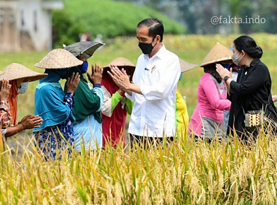 Bapak Presiden Jokowi: Berharap Para Generasi Muda Indonesia Lebih Minat Jadi Petani